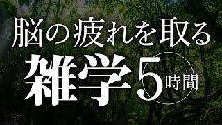 【睡眠導入】脳の疲れを取る雑学5時間【合成音声】