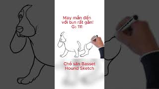 Vẻ chú chó Basset Hound sketch