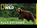 Predator Superpowers (Full Episode) | World's Deadliest