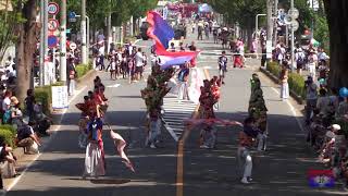 妃龍〔彩夏祭2018　２日目　朝霞の森前①20180805〕