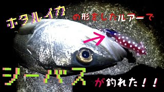 【富山湾】ホタルイカパターン初挑戦！