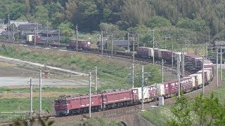 【JR貨物】２０７１レ ＥＦ８１-４０６＋７１６ 重連