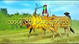 သာပါလိမ့္မယ္ေရႊက်ီးညိဳ  ဆို  စြမ္းခ်စ္ (kb သက္ထားေမာင္)