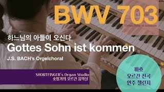 [JS BACH ORGAN] BWV 703 Gottes Sohn ist kommen 하느님의 아들이 오신다 Hauptwerk Cavallie-coll, Nancy