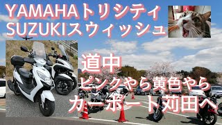 YAMAHAトリシティ　SUZUKIスウィッシュ　ピンク色あり黄色ありツーリング　カーポート苅田へ