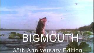Bigmouth 35 Promo 5 30