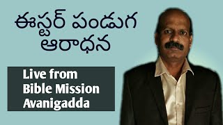 ఈస్టర్ పండుగ ఆరాధన, Easter Live service, Bible Mission Avanigadda