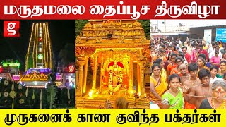 மருதமலை தைப்பூச திருவிழாவிற்கு அடித்து தூள் கிளப்பிய மக்கள்