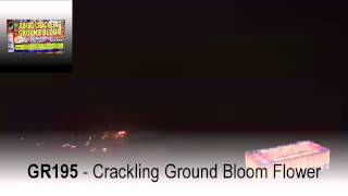 GR195 Jumbo Crackling Ground Bloom Flower