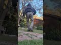 Balancing Act in a Tranquil Garden Setting