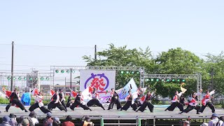 [4K] ちゃわん娘　犬山踊芸祭 2023 土曜日