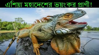 এমন প্রানী দেখতেও কপাল লাগে😳 এশিয়া মহাদেশের সবচেয়ে ভয়ঙ্কর প্রানী | Deadliest Animals in Asia