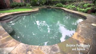 Pool Remodel Dallas  | Dolphin Pool Supply and Service  | Call Us 214-357-0446