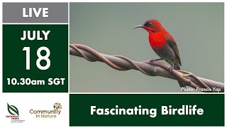 NParks Spotlight: Fascinating Birdlife