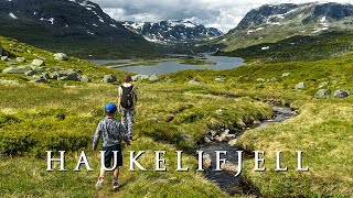 Hike in Haukelifjell