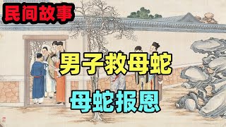 民間故事合集：男子救母蛇，母蛇報恩