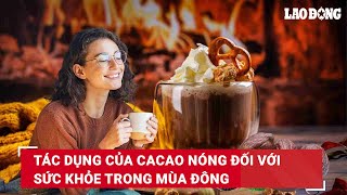 Tác dụng của cacao nóng đối với sức khỏe trong mùa đông | Báo Lao Động