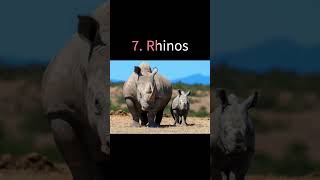 Top 10 Endangered Animals #youtube#shorts#viral#short#trending#ytshorts#animals#animal#endangered