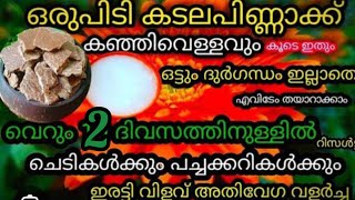 @krishi#കടലപ്പിണ്ണാക്കും കഞ്ഞിവെള്ളവും കൊണ്ടൊരു കിടിലൻ ജൈവവളം വീട്ടിൽതന്നെ തയ്യാറാക്കാം#ammoosanoos