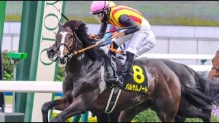 白百合S 　芝1800m (右 外)　バルサムノート　牡3　56.0　西村淳也　2023.5.28　　出走馬：アイスグリーン、セオ、ワイドアラジン、ワンダイレクト、スズカハービン、ウインスノーライト他