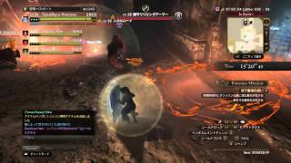 【DDON】エクストリームミッション　地下墓場の誘い　セージ視点　２回目