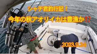 シャチ君釣行記！　アオリイカ調査編。