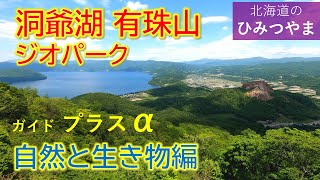 【なんちゃってフィールドワーク😀】有珠山・洞爺湖中島で見かけた生き物/有珠登山と観光で体感するジオパークの魅力