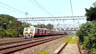 The pink I.C.F. train passing under the bridge