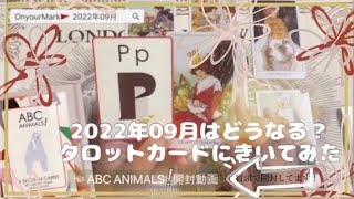 2022年09月はどんな月になる？タロットカードにきいてみた🪄✨\u0026『ABC ANIMALS！』開封動画🦙❤︎❤︎❤︎ #2022年9月 #9月 #タロットリーディング #開封動画