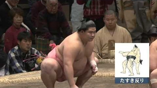 2017大相撲初場所　十四日目　宇良　対　佐田の海