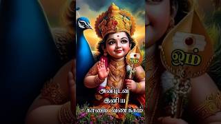 இன்று முருகனை வணங்கினால்🙏💥#muruganvaaku #tamil #shorts #devotional #tamilgod #murugan #muruga #short