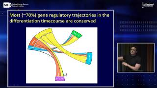 Comparative genomics in primates using iPSCs - Yoav Gilad