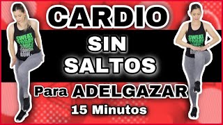CARDIO SIN SALTOS PARA PERDER PESO RÁPIDO | Cardio de Bajo Impacto 15 MINUTOS | NatyGlossGym