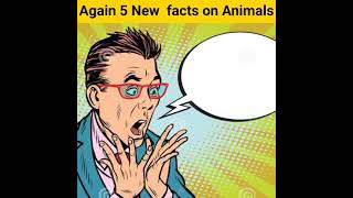 5 New Very interesting facts on animals/ 5 new amazing facts on animals/# viral facts / # Shorts