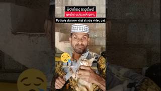 පූසා පවු යකෝ පාතාලේ ඇලා  / Pathale ala Music song Sri Lanka  / New Viral Shotrs video 😤