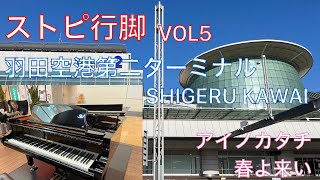 [HATAKEのストピ行脚]羽田空港第二ターミナルで最高級ピアノと戯れる