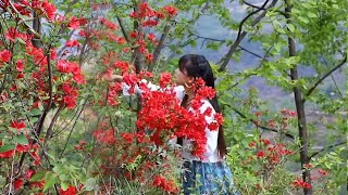 Dye Cloth With Plants 用植物染布，再做成餐垫和布包，简单又好看。