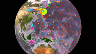 Watch NOAA Fukushima Earthquake Buoy Alert from February