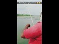 அட போங்கடா மீன் மாட்டுமா 🤔 3kg fish in 2 hour 🤯 fishing kaveri river shorts