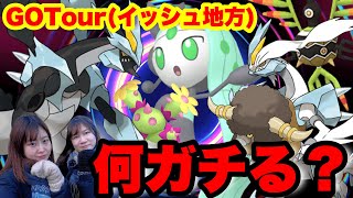 【GOTour(イッシュ地方)グローバル】何ガチる？