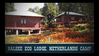 Kalsee Eco Lodge, Netherlands Camp with IT Deurali On New Years Eve....