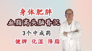 身体肥胖、血脂高，3个中成药，健脾化湿、降脂