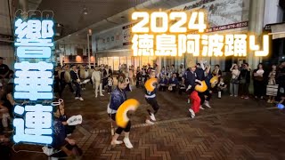 2024徳島阿波踊り／響華連