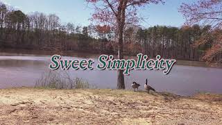 Lydtunez - Sweet Simplicity (Official Lyric Video)