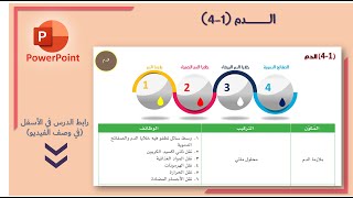 الدم (1-4)