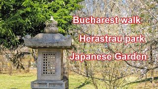 plimbare prin bucuresti gradina japoneza herastrau 2022