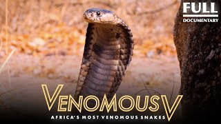 Africa’s Most Venomous Snakes: The Venomous 5 | 2021 Full Documentary