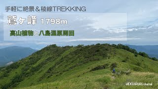 【鷲ヶ峰1798m】手軽に絶景\u0026稜線TREKKING【八島湿原周回】