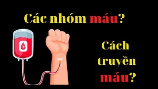 Hiểu nhanh các nhóm máu và cách truyền máu | 6 phút kiến thức #3