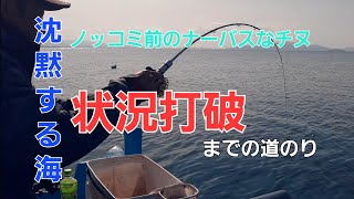 ノッコミ直前！激シブのチヌかかり釣り